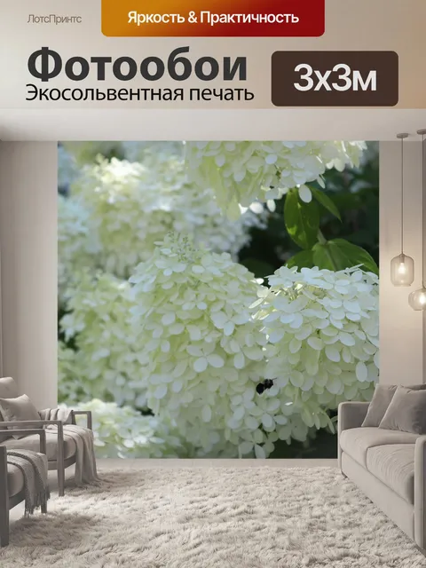 Фотообои Цветы