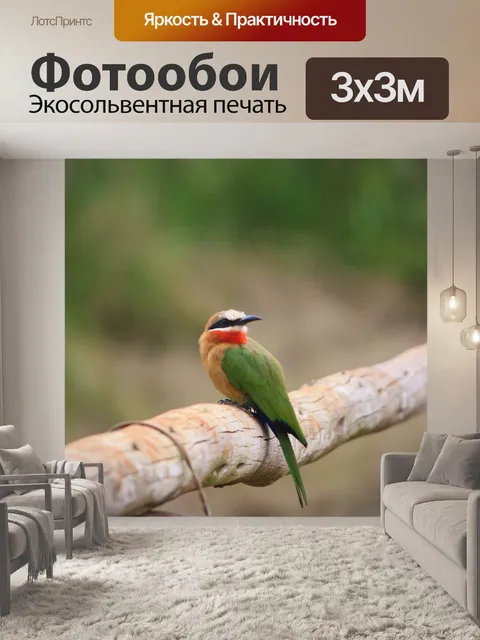 Фотообои Птица