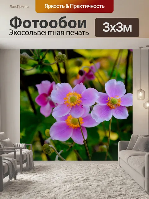 Фотообои Анемоны