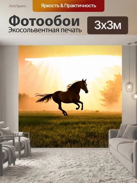 Фотообои силуэт лошади, скачущей по широкому полю, где в воздухе веет запах свежей травы и дикой природы