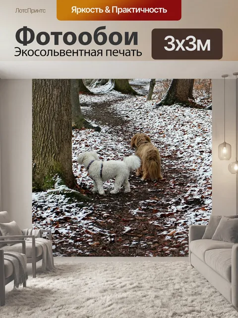 Фотообои Дорожка