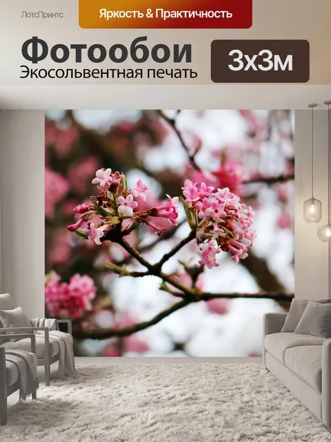 Фотообои Расцветает