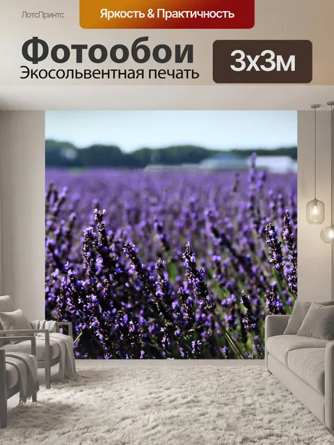 Фотообои Нидерланды