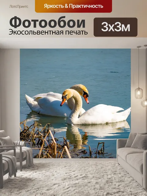 Фотообои Лебеди