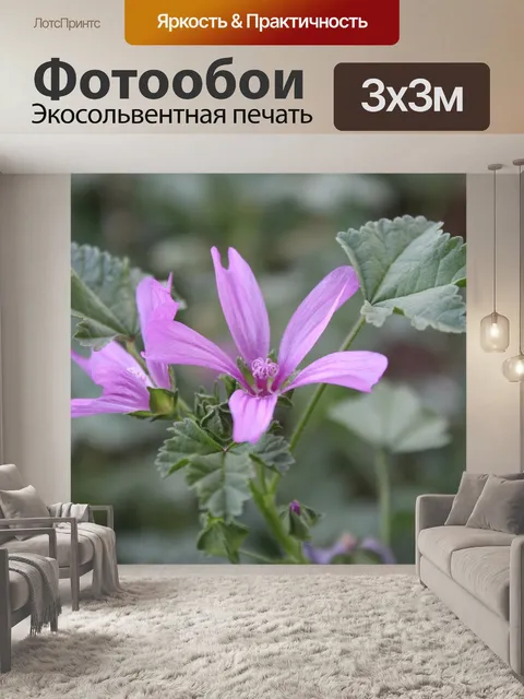 Фотообои Цветы