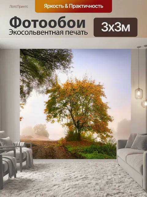 Фотообои Тащить