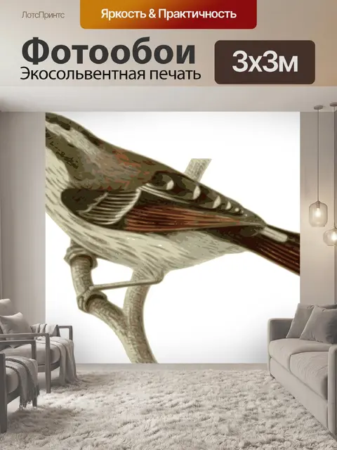 Фотообои Птица