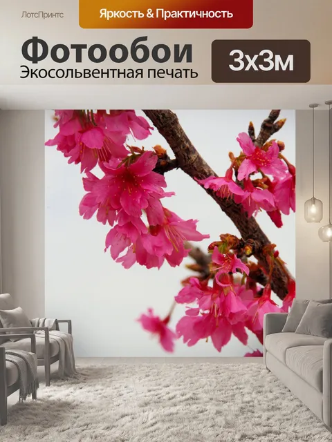 Фотообои Цветущие деревья Иуды