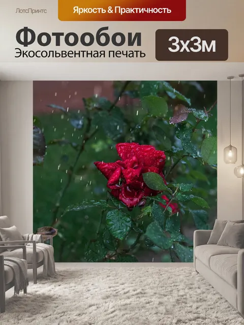 Фотообои Осень