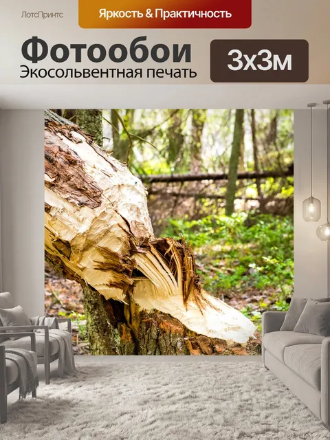 Фотообои Бобр