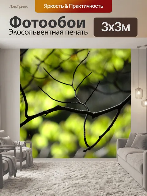 Фотообои Ветви