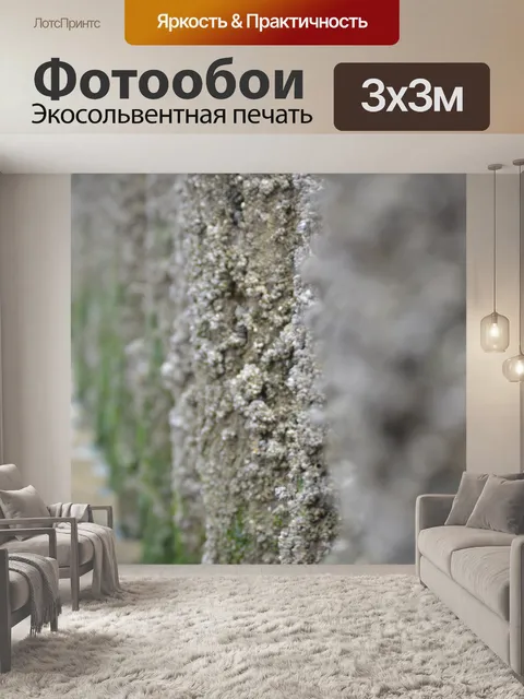 Фотообои Моллюски