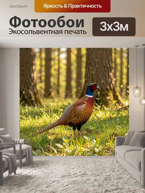 Фотообои Фазан в солнечном лесу