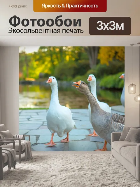 Фотообои Гуси
