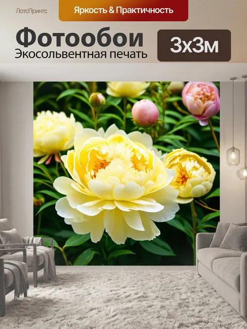 Фотообои пионы в стиле минимализм