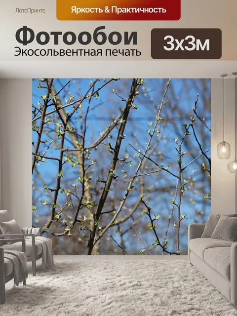 Фотообои Весна