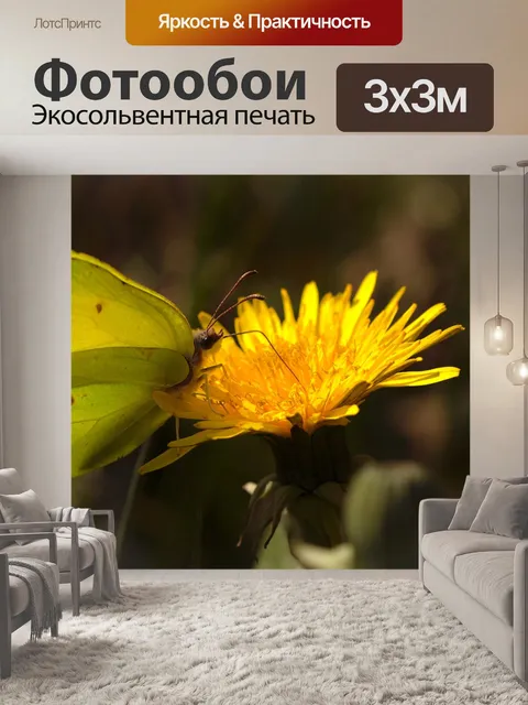 Фотообои Цветок