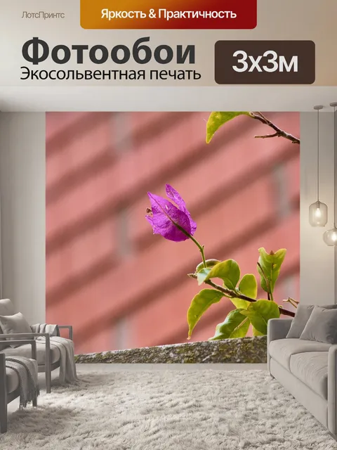 Фотообои Цветы
