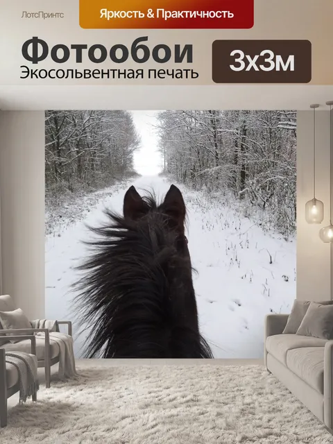Фотообои Лошадь