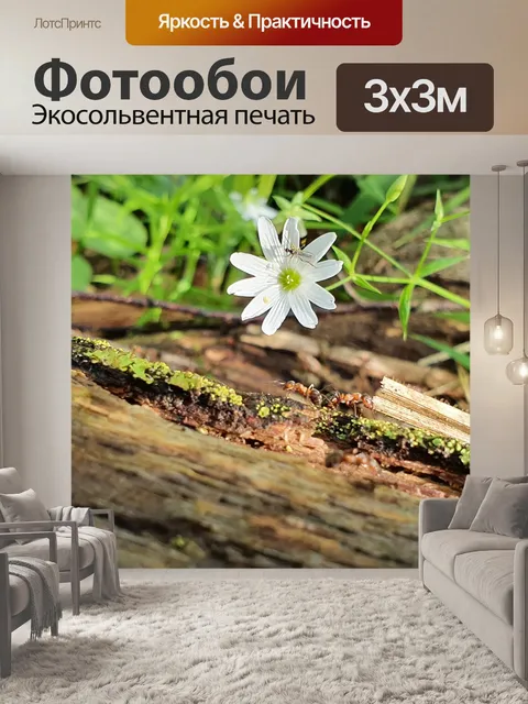 Фотообои Лес