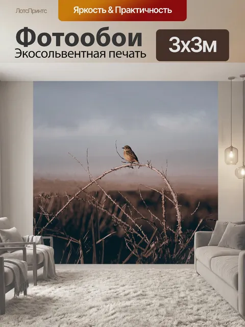 Фотообои Трава