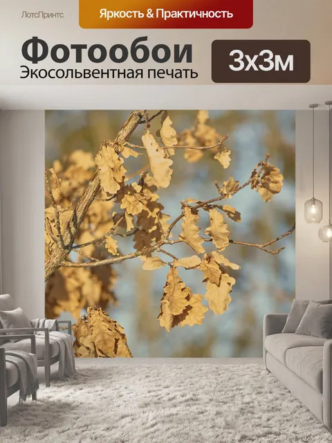 Фотообои Зима