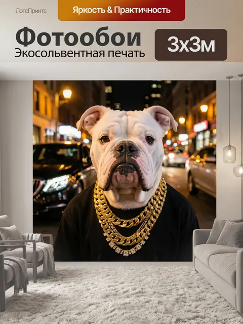 Фотообои Рэперский бульдог ночью
