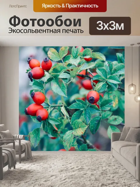 Фотообои Листья