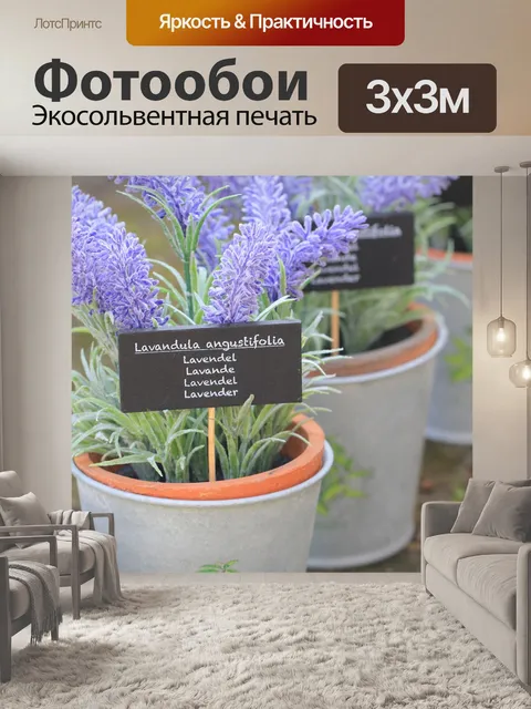 Фотообои Лаванда