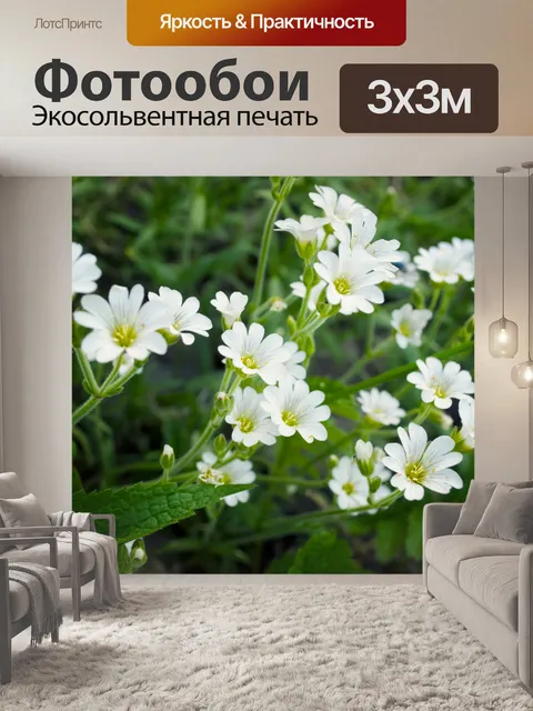 Фотообои фон из цветов