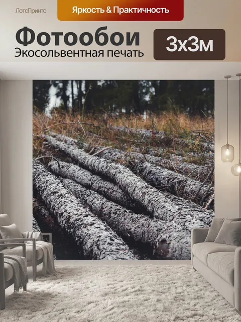 Фотообои Стволы деревьев