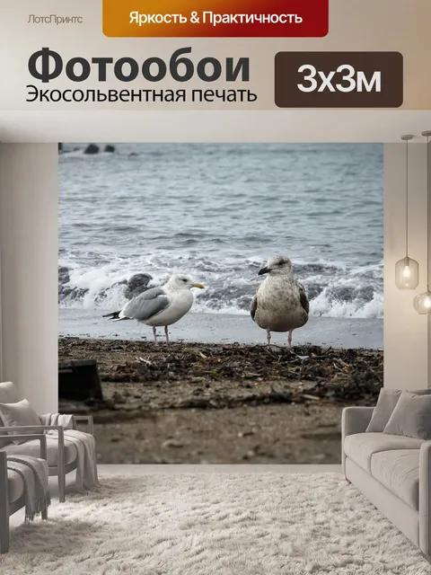 Фотообои Животное