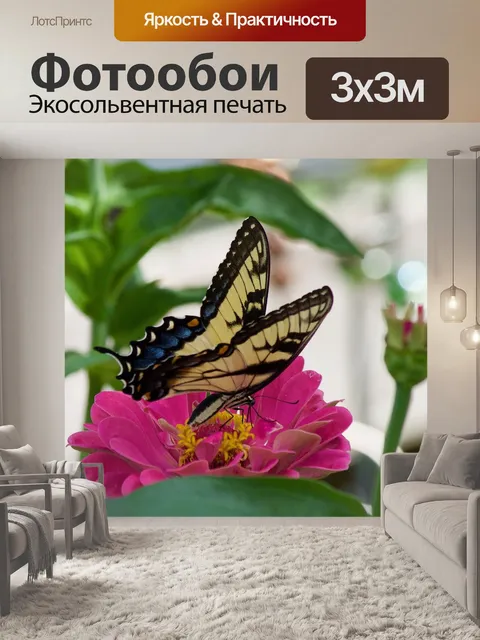 Фотообои Парусники бабочки