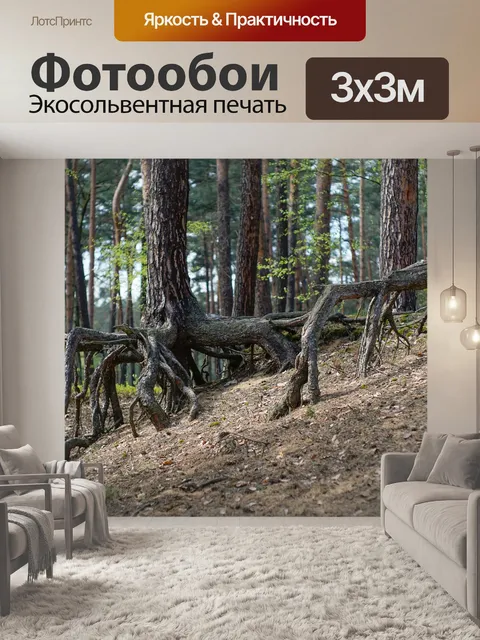 Фотообои Лес