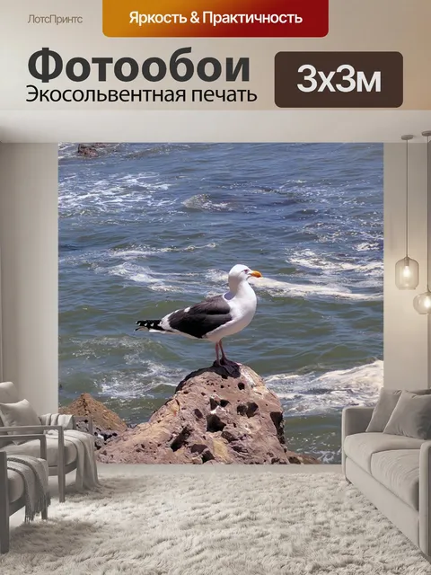 Фотообои Чайка у моря