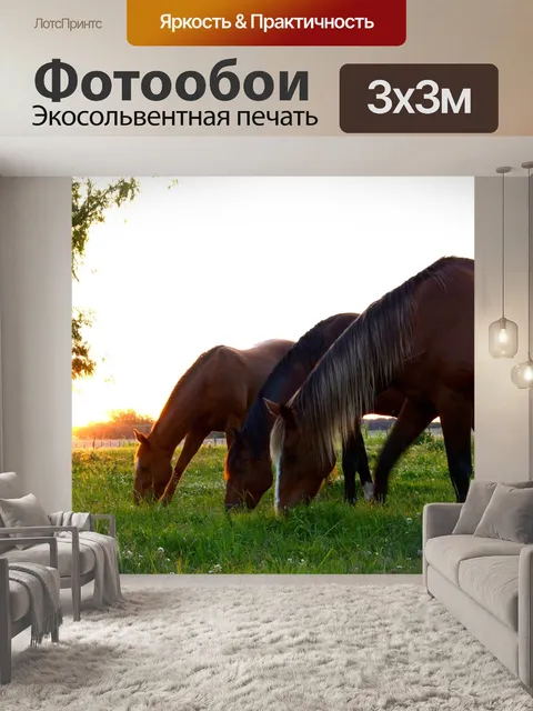 Фотообои Лошади