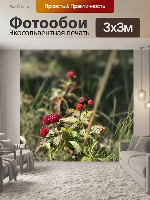 Фотообои Гора