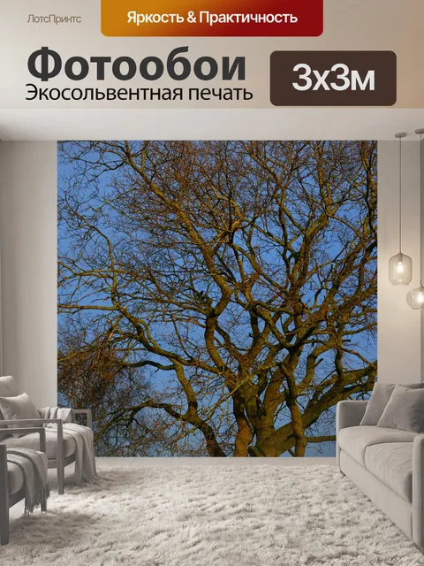 Фотообои Дерево