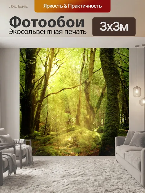Фотообои Лес