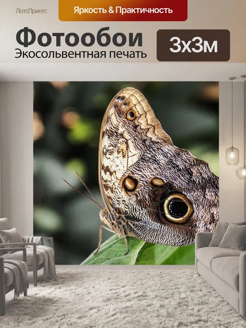 Фотообои Бабочка
