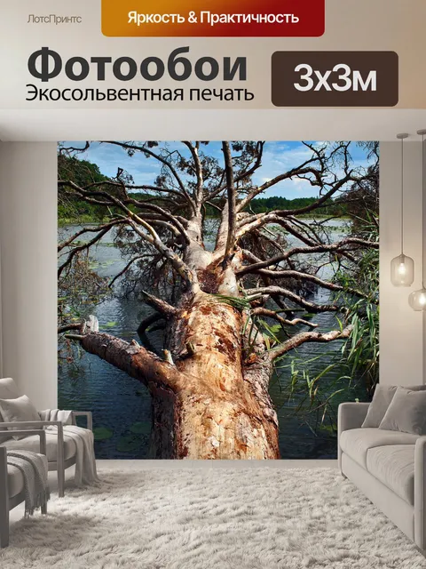 Фотообои Дерево