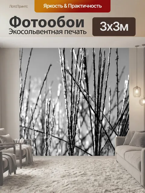 Фотообои Травы