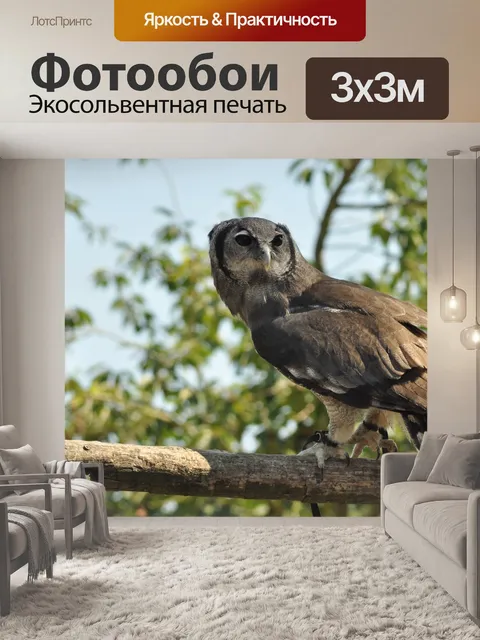 Фотообои Птица