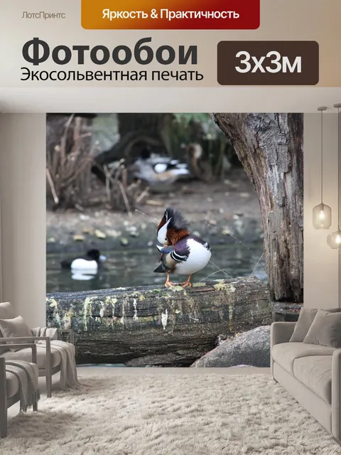 Фотообои Птицы