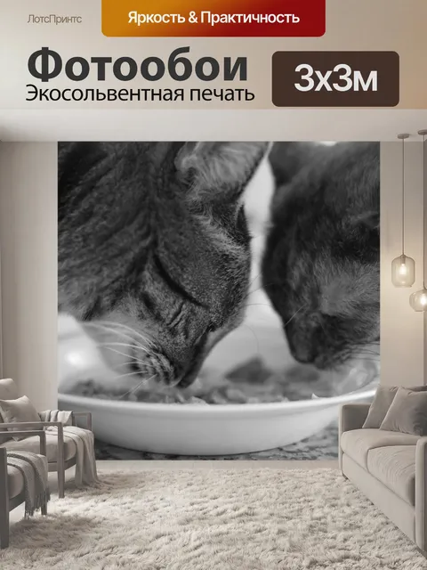 Фотообои Две кошки едят тунца