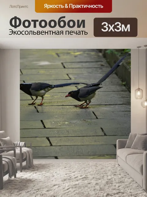Фотообои Птицы