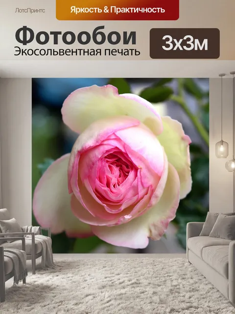 Фотообои Розовый
