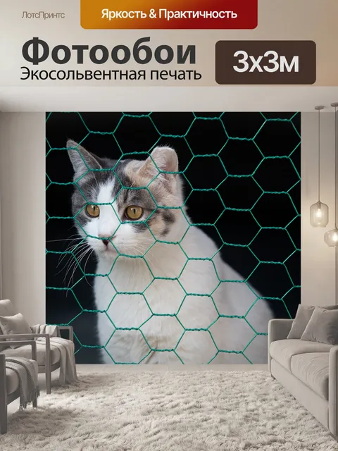 Фотообои Кошка