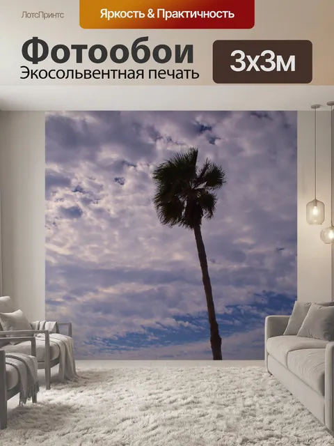 Фотообои Пальма против облачного неба