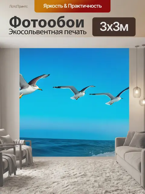 Фотообои чайки, летающие над морем